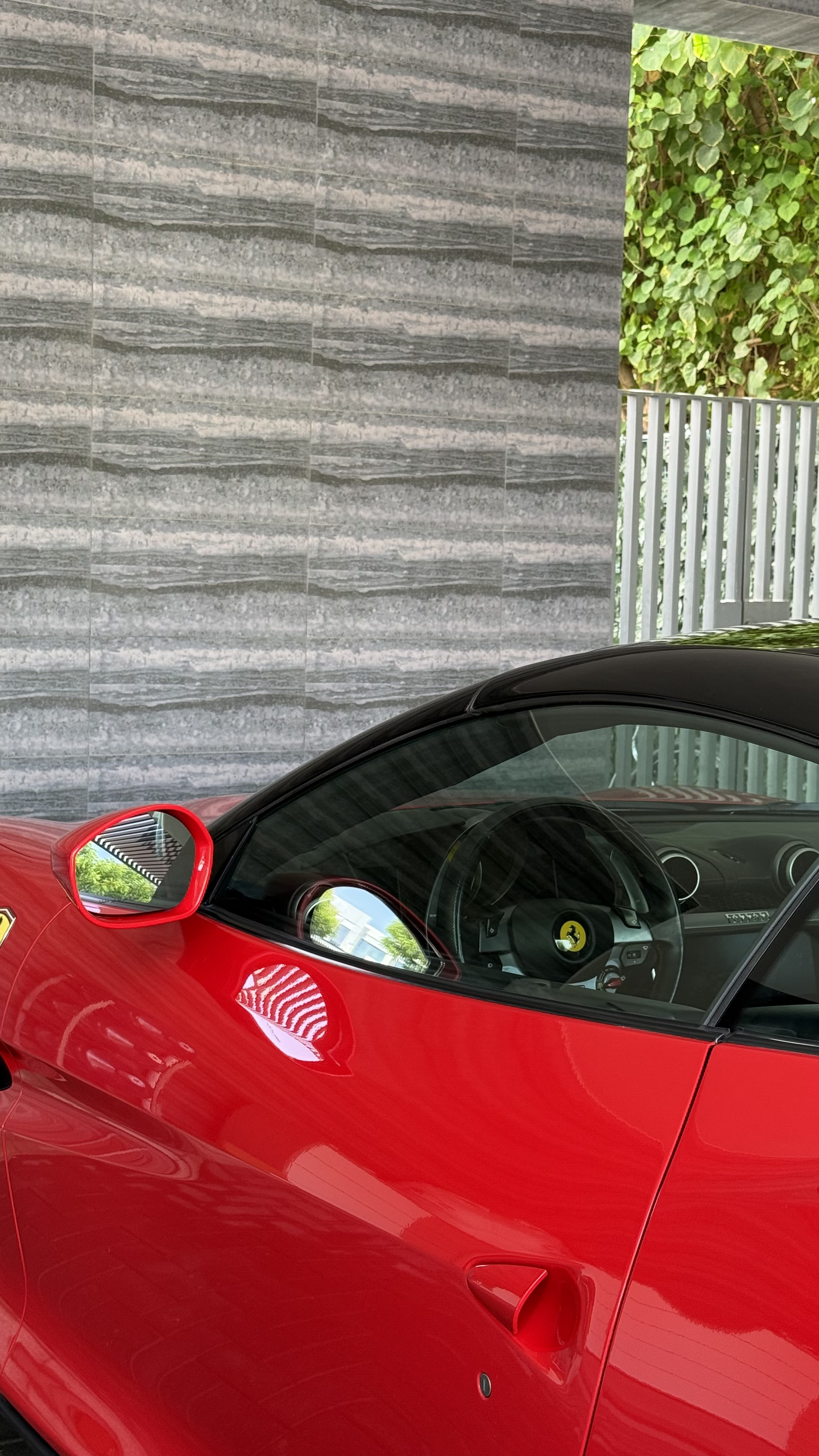 Clean Ferrari after Washy service